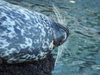 Monterey &ndash; &copy; Sabine Letzybyll (Eberhardt TRAVEL)