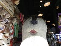 Monterey &ndash; &copy; Sabine Letzybyll (Eberhardt TRAVEL)