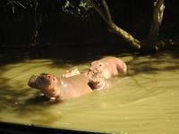 Safari-Park, Guatemala &ndash; &copy; Sabine Letzybyll (Eberhardt TRAVEL)