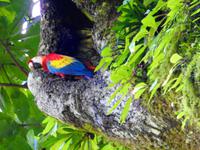 Aras &ndash; &copy; Sabine Letzybyll (Eberhardt TRAVEL)