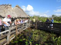 Everglades &ndash; &copy; Sabine Letzybyll (Eberhardt TRAVEL)