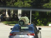es weihnachtet sehr &ndash; &copy; Sabine Letzybyll (Eberhardt TRAVEL)
