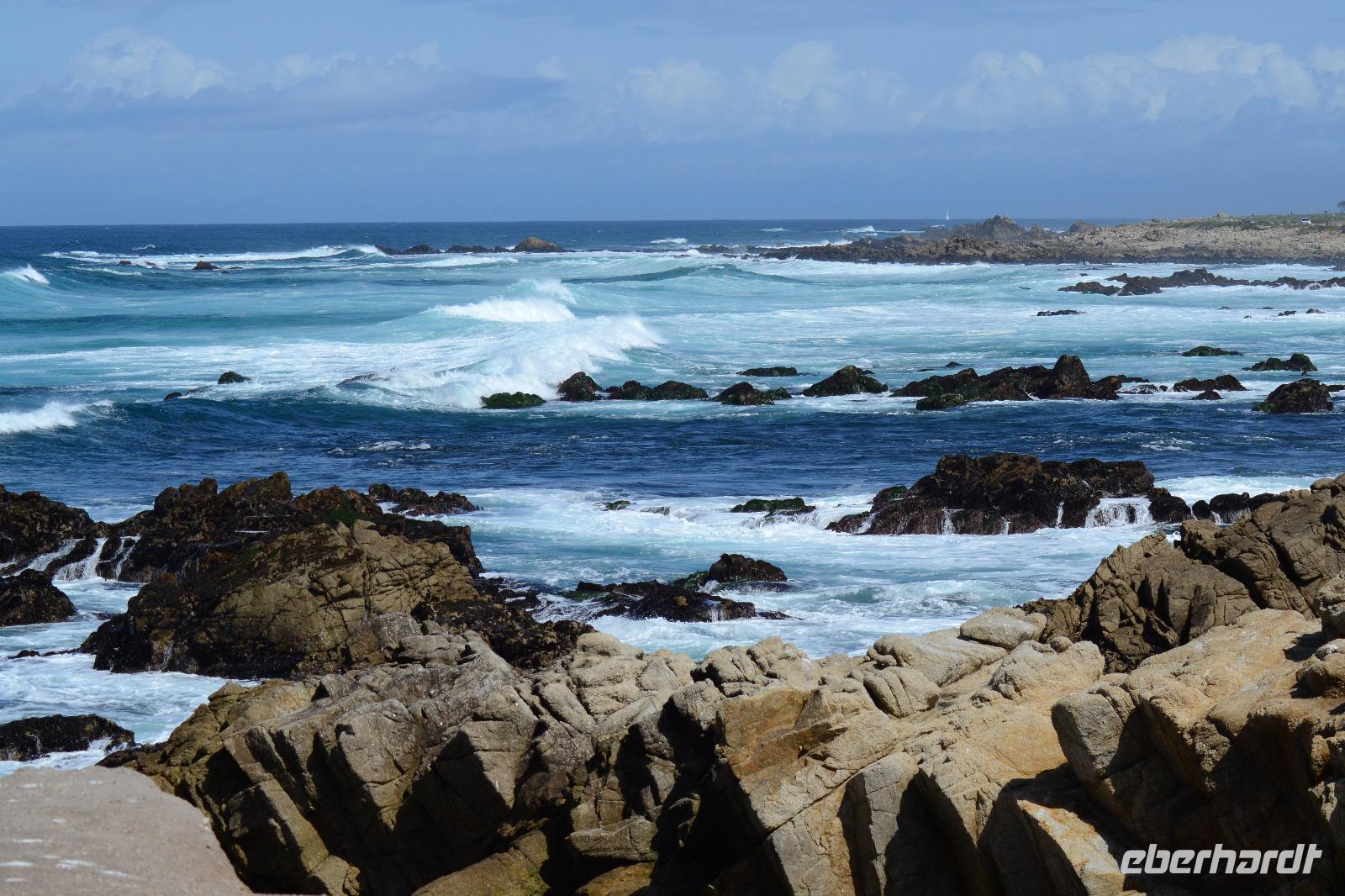 Monterey Bay (13) &ndash; &copy; Laura Wonneberger (Eberhardt TRAVEL)