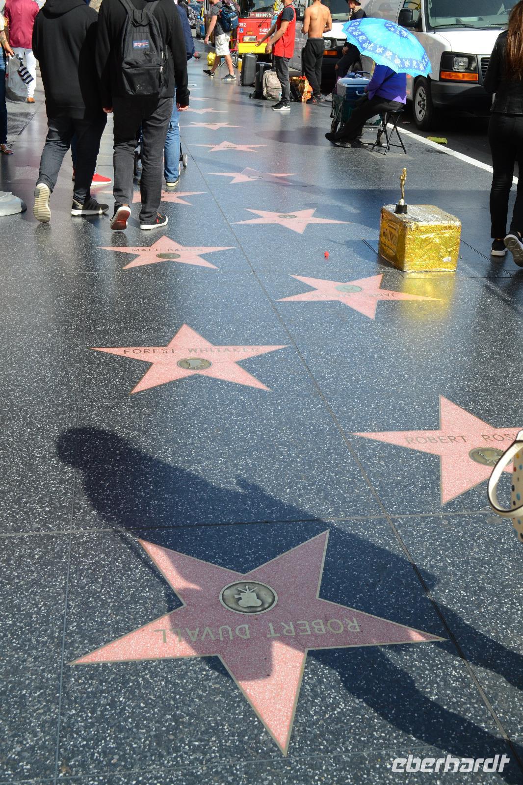 Walk of Fame Los Angeles (10) &ndash; &copy; Laura Wonneberger (Eberhardt TRAVEL)