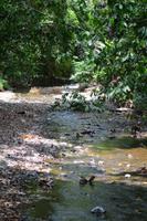 Carara Natiopnalpark  (10) &ndash; &copy; Laura Wonneberger (Eberhardt TRAVEL)
