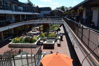 Carmel (1) &ndash; &copy; Laura Wonneberger (Eberhardt TRAVEL)