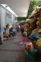 Cartagena (7) &ndash; &copy; Laura Wonneberger (Eberhardt TRAVEL)
