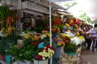Cartagena (10) &ndash; &copy; Laura Wonneberger (Eberhardt TRAVEL)