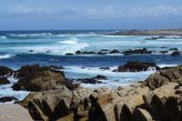 Monterey Bay (13) &ndash; &copy; Laura Wonneberger (Eberhardt TRAVEL)