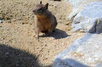 Monterey Bay (16) &ndash; &copy; Laura Wonneberger (Eberhardt TRAVEL)