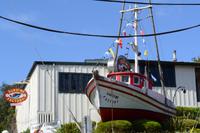 Monterybay (2) &ndash; &copy; Laura Wonneberger (Eberhardt TRAVEL)