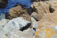 Monterybay (4) &ndash; &copy; Laura Wonneberger (Eberhardt TRAVEL)