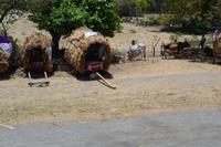 Nicaragua (9) &ndash; &copy; Laura Wonneberger (Eberhardt TRAVEL)