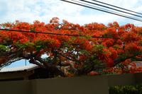 Puntarenas Costa Rica (1) &ndash; &copy; Laura Wonneberger (Eberhardt TRAVEL)
