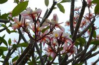Puntarenas Costa Rica (3) &ndash; &copy; Laura Wonneberger (Eberhardt TRAVEL)