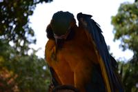 Zoo am Hafen Cartagena (4) &ndash; &copy; Laura Wonneberger (Eberhardt TRAVEL)