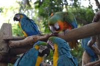 Zoo am Hafen Cartagena (5) &ndash; &copy; Laura Wonneberger (Eberhardt TRAVEL)