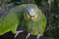 Zoo am Hafen Cartagena (6) &ndash; &copy; Laura Wonneberger (Eberhardt TRAVEL)