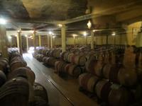 Weinprobe auf dem Morgenhof-Weingut &ndash; &copy; Britt Reuter-Bracklow (Eberhardt TRAVEL)
