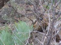 Suchbild &ndash; &copy; Britt Reuter-Bracklow (Eberhardt TRAVEL)