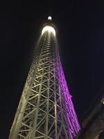 Sky Tree &ndash; &copy; Britt Reuter-Bracklow (Eberhardt TRAVEL)