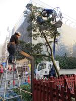 Tokio &ndash; &copy; Britt Reuter-Bracklow (Eberhardt TRAVEL)
