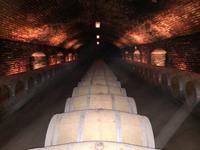 Concha y Toro &ndash; &copy; Britt Reuter-Bracklow (Eberhardt TRAVEL)