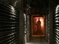Concha y Toro &ndash; &copy; Britt Reuter-Bracklow (Eberhardt TRAVEL)