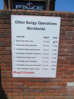 Bungy &ndash; &copy; Anna Stiebing (Eberhardt TRAVEL)