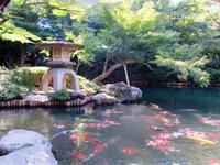 Happo-En Garten &ndash; &copy; Anna Stiebing (Eberhardt TRAVEL)