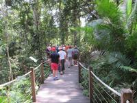 Kuranda Regenwald &ndash; &copy; Anna Stiebing (Eberhardt TRAVEL)