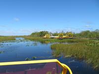 Everglades &ndash; &copy; Anna Stiebing (Eberhardt TRAVEL)