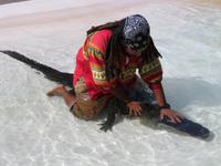 Alligator-Show &ndash; &copy; Anna Stiebing (Eberhardt TRAVEL)