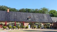 Husumer Schloss- Cafe &ndash; &copy; Marlies Thrum (Eberhardt TRAVEL)