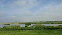 Koog auf Nordstrand &ndash; &copy; Marlies Thrum (Eberhardt TRAVEL)