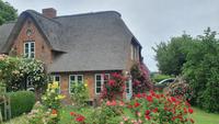 Föhr &ndash; &copy; Marlies Thrum (Eberhardt TRAVEL)