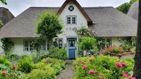 Nieblum auf Föhr &ndash; &copy; Marlies Thrum (Eberhardt TRAVEL)