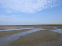 Nordfriesland Husum Nordstrand Wattwanderung &ndash; &copy; Sabine Letzybyll (Eberhardt TRAVEL)