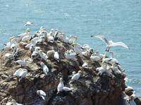 Helgoland &ndash; &copy; Sabine Letzybyll (Eberhardt TRAVEL)