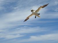 Helgoland &ndash; &copy; Sabine Letzybyll (Eberhardt TRAVEL)