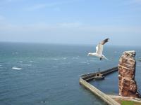 Helgoland &ndash; &copy; Sabine Letzybyll (Eberhardt TRAVEL)
