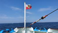 Hallo Helgoland &ndash; &copy; Marlies Thrum (Eberhardt TRAVEL)