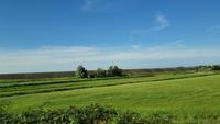 der Deich am Eidersperrwerk &ndash; &copy; Marlies Thrum (Eberhardt TRAVEL)