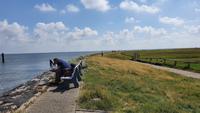 auf Hallig Hooge &ndash; &copy; Marlies Thrum (Eberhardt TRAVEL)