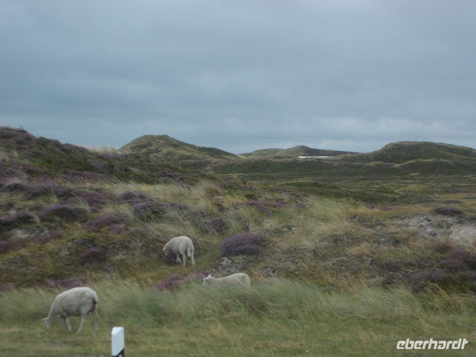 DSCN5216.JPG &ndash; &copy; Kerstin Veit (Eberhardt TRAVEL)