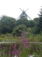 DSCN6288.JPG    Stadtpark &ndash; &copy; Kerstin Veit (Eberhardt TRAVEL)