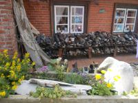 DSCN6405.JPG   Strandgut &ndash; &copy; Kerstin Veit (Eberhardt TRAVEL)