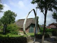 Walfischknochen Wyk &ndash; &copy; Harald Kühne (Eberhardt TRAVEL)
