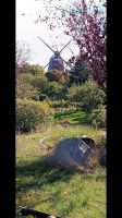 Windmühle im grünen Kern von Wyk &ndash; &copy; Bernd Lahmann (Eberhardt TRAVEL)