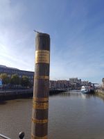 Wasserstände Hafen  &ndash; &copy; Bernd Lahmann (Eberhardt TRAVEL)